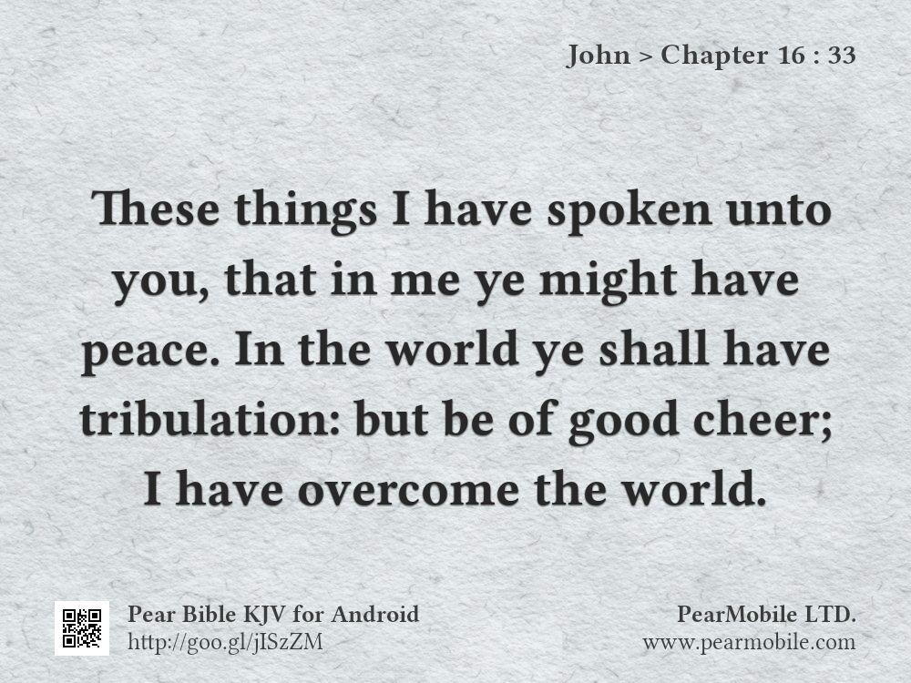 John, Chapter 16:33